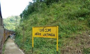 jatinga-valley-assam-2_14