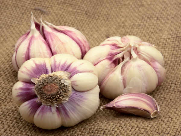 09-1365502908-garlic-08-1465362390