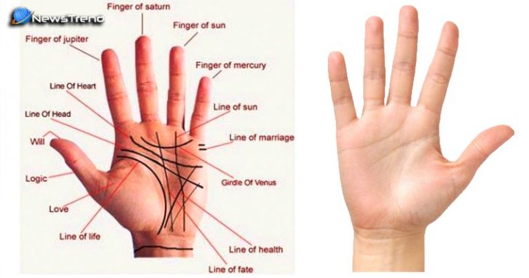 आपकी हाथ की रेखाओं में है आपके अमीर बनने का राज़ आप खुद भी पढ़ सकते है