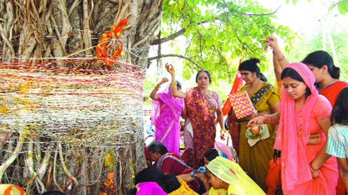 vat savitri puja