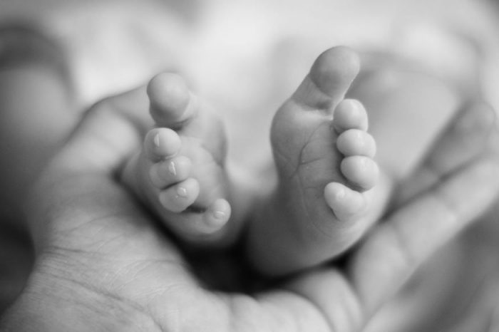 Surrogacy as a business