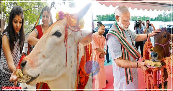 gaya ko roti khilane ke phayde