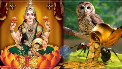 signs-laxmi-maa-money