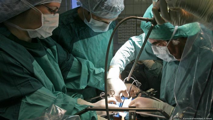 Pig kidney transplant into human