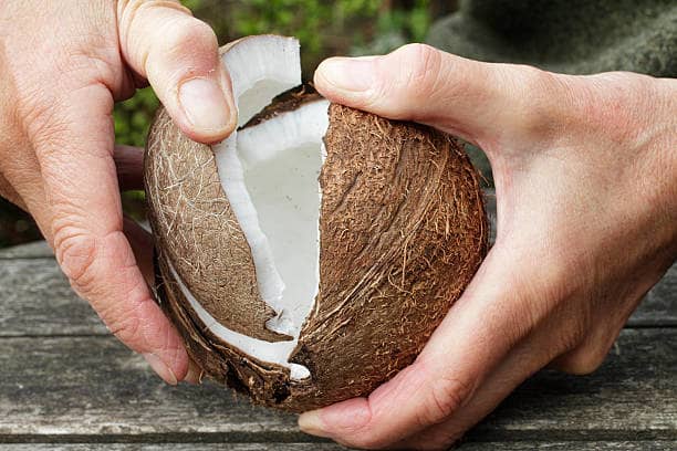 coconut